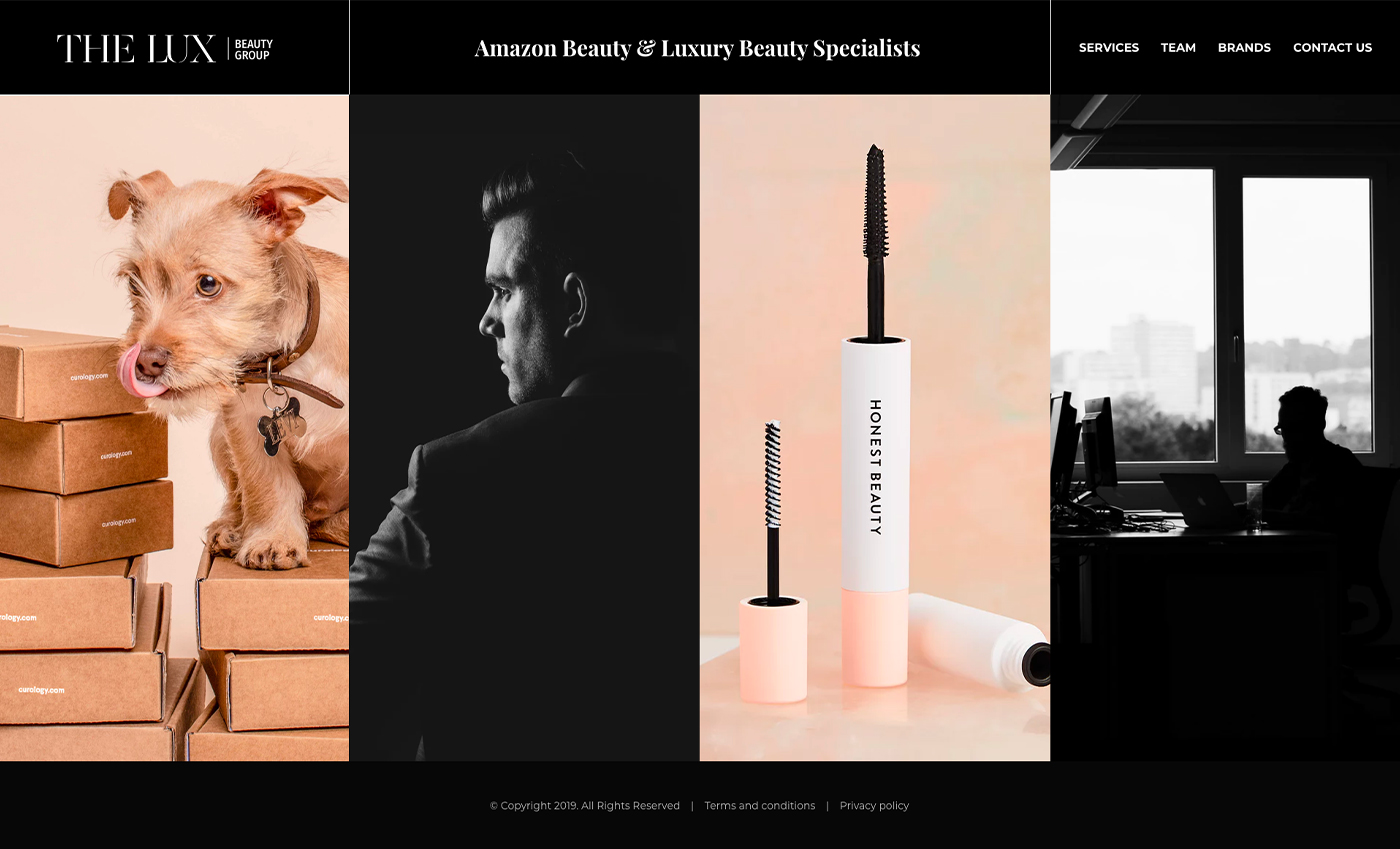 The Lux Beauty Group Homepage Hero Design