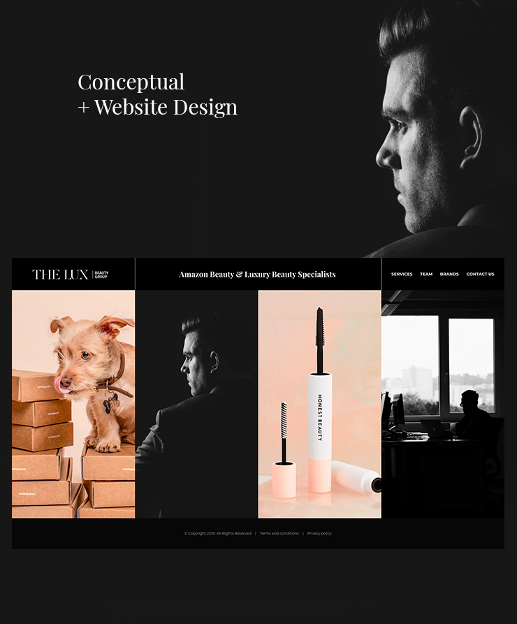The Lux Beauty Group Website Design Project